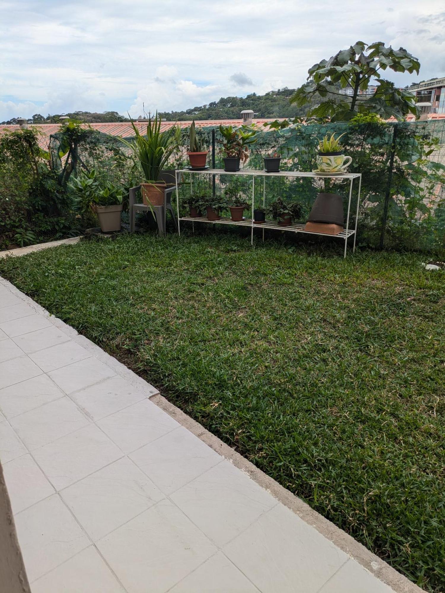 Apartmán N'Jok Papeete Papeete  Exteriér fotografie